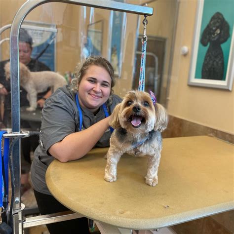 petsmart grooming salon hours